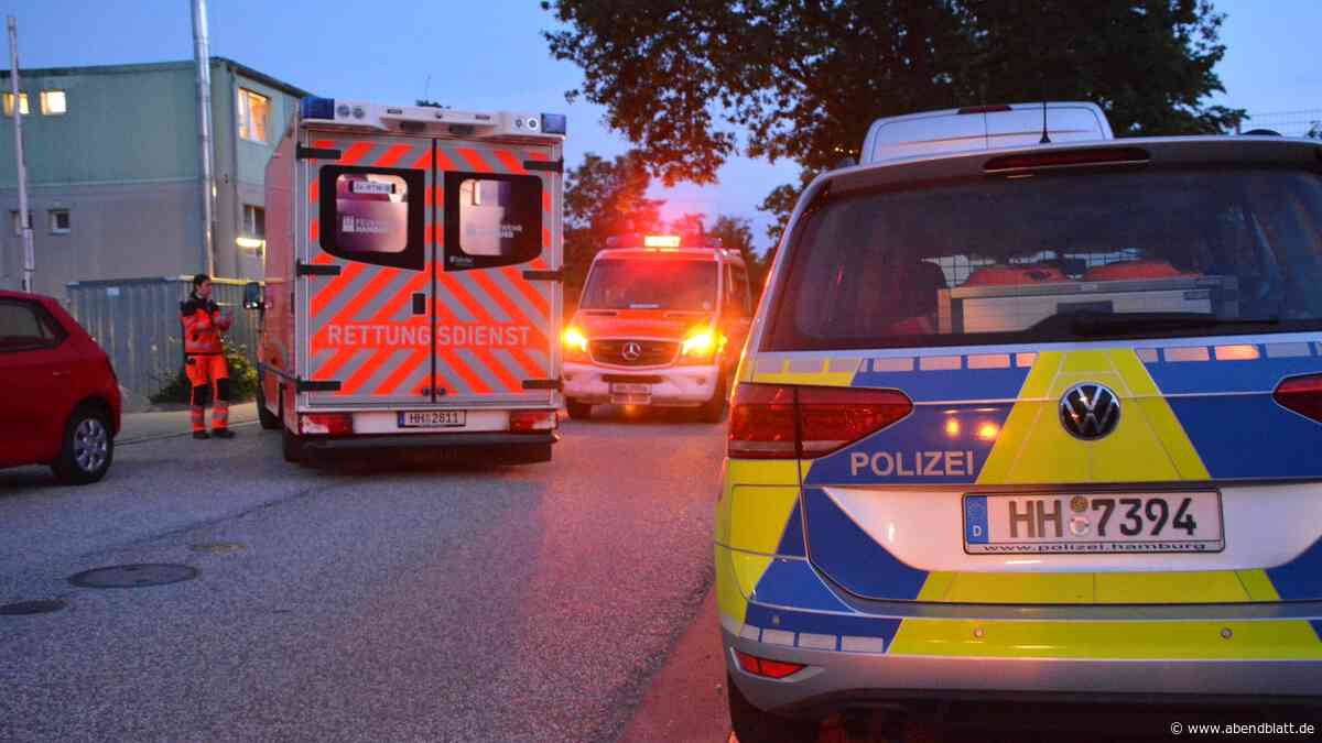 Heftige Schlägerei zwischen zwei Familien in Bergedorf – Notarzt im Einsatz