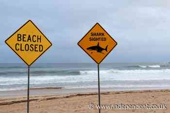 Man killed in third fatal shark attack in Australia in three weeks