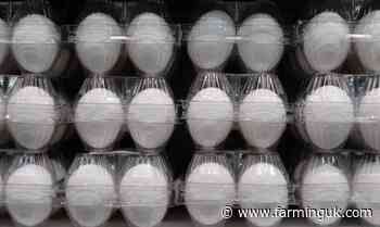 Retailers split over white and brown egg future