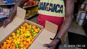 Jamaican Scotch bonnet prices soar amid shortage, putting the squeeze on hot sauce