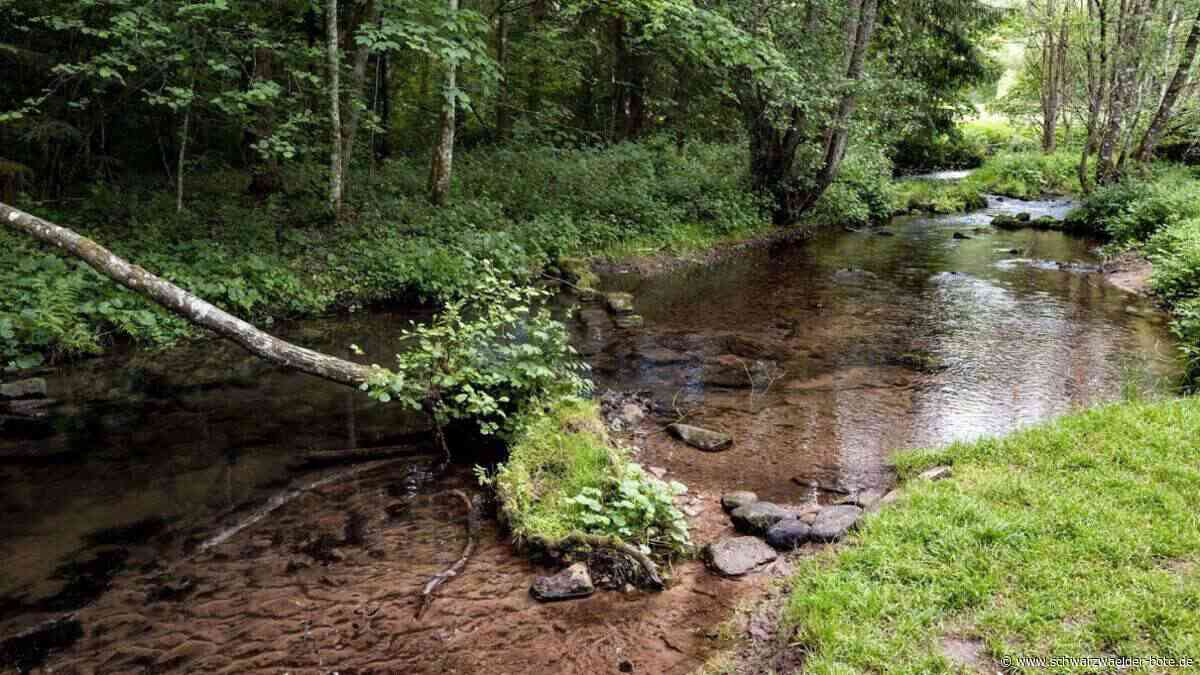 Im Teinachtal: Illegale Fischerei an der Enz – droht der Teinach dasselbe Schicksal?