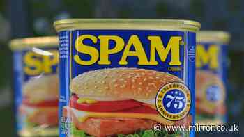 People are just realising what SPAM actually stands for after 89 years