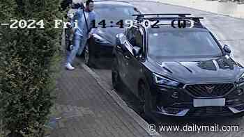 Iranian journalist stabbed in Wimbledon on orders of Tehran claims police failed to act on earlier threat - after one of his attackers was arrested a year before