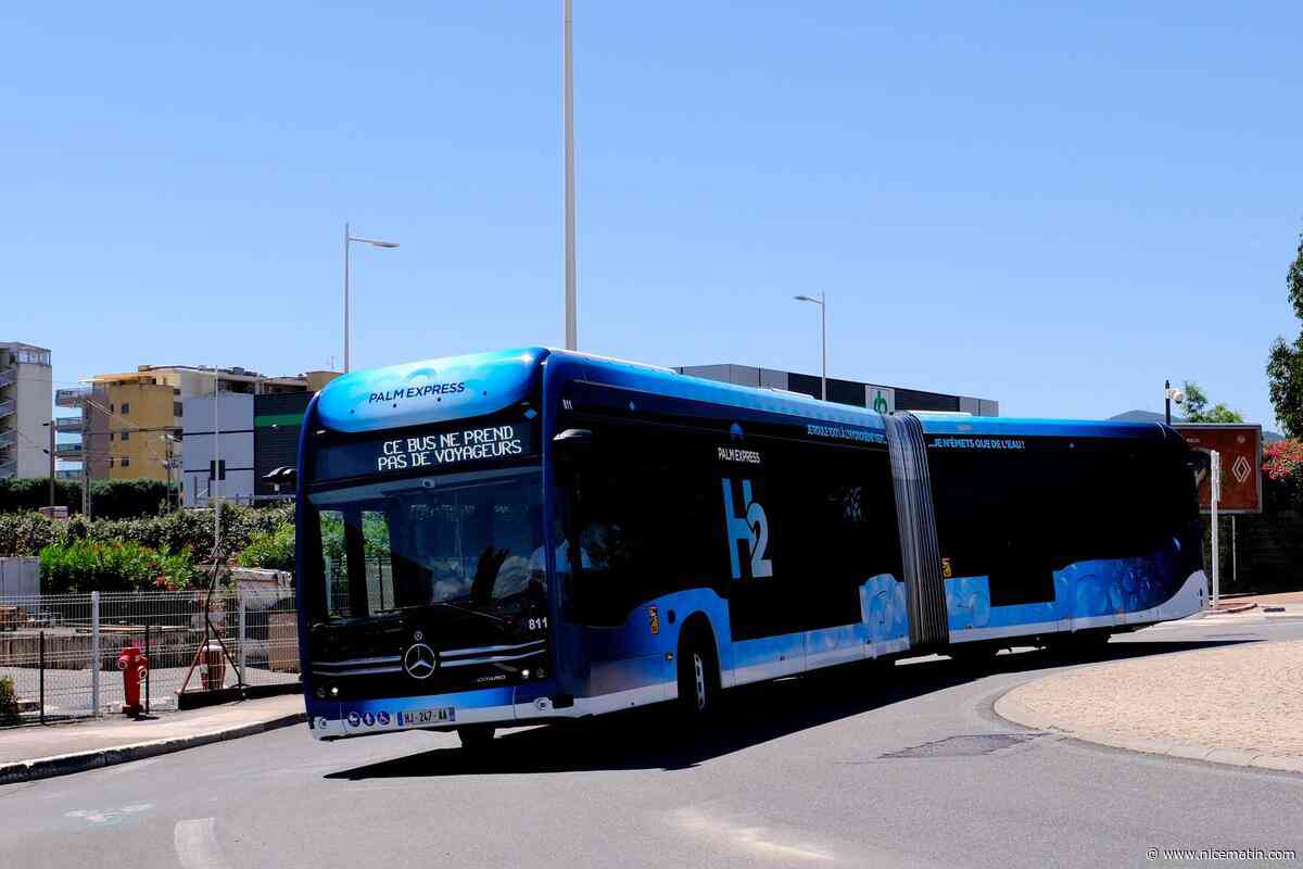 « On retrouve le confort que nous donnait le gasoil » : à Cannes, l’agglomération Pays de Lérins lance les premiers bus à hydrogène de France