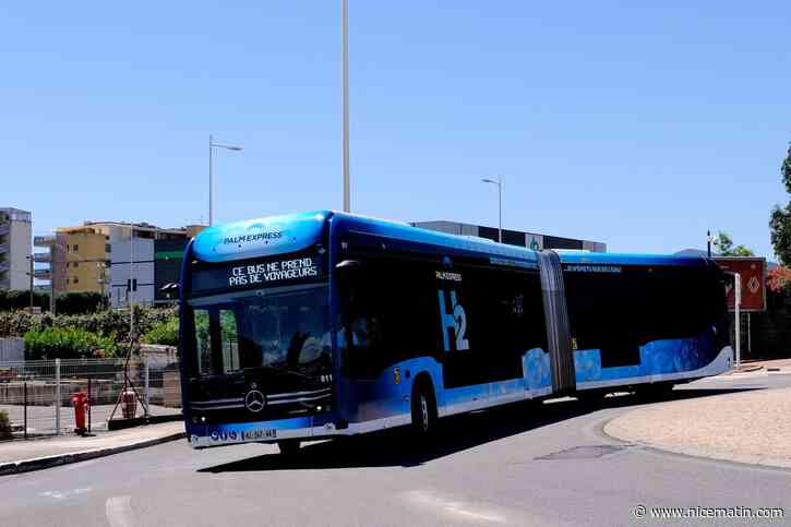 « On retrouve le confort que nous donnait le gasoil » : à Cannes, l’agglomération Pays de Lérins lance les premiers bus à hydrogène de France