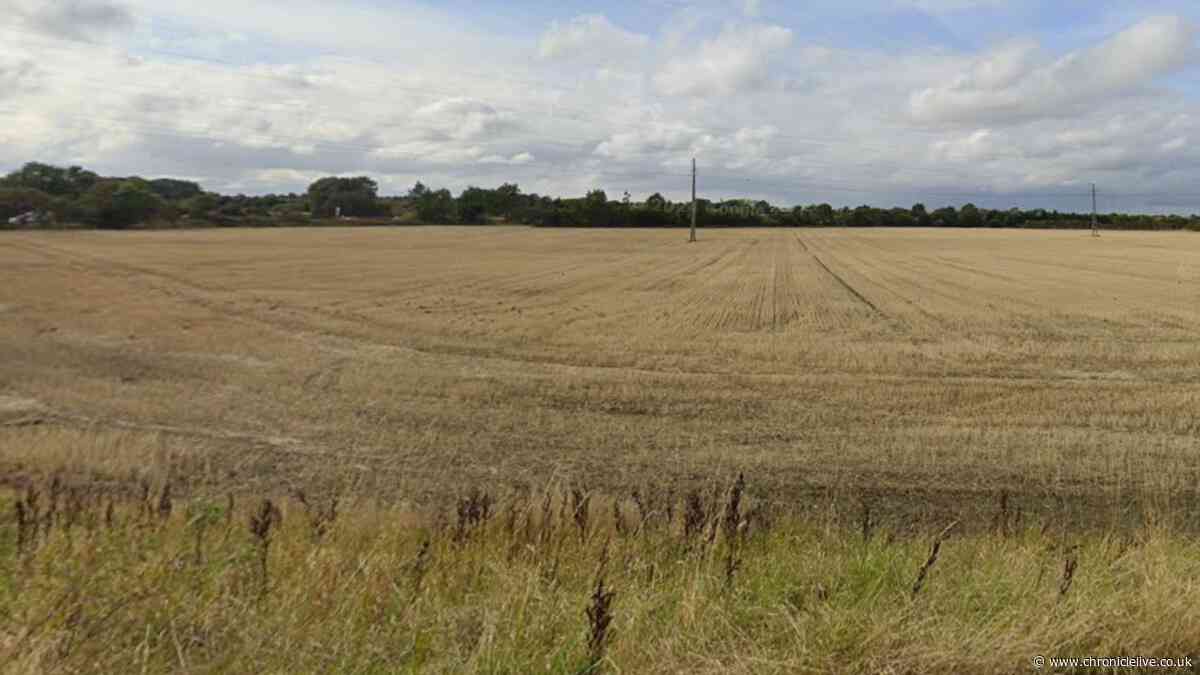 270 new homes, HMO and MOT garage among latest North Tyneside planning applications