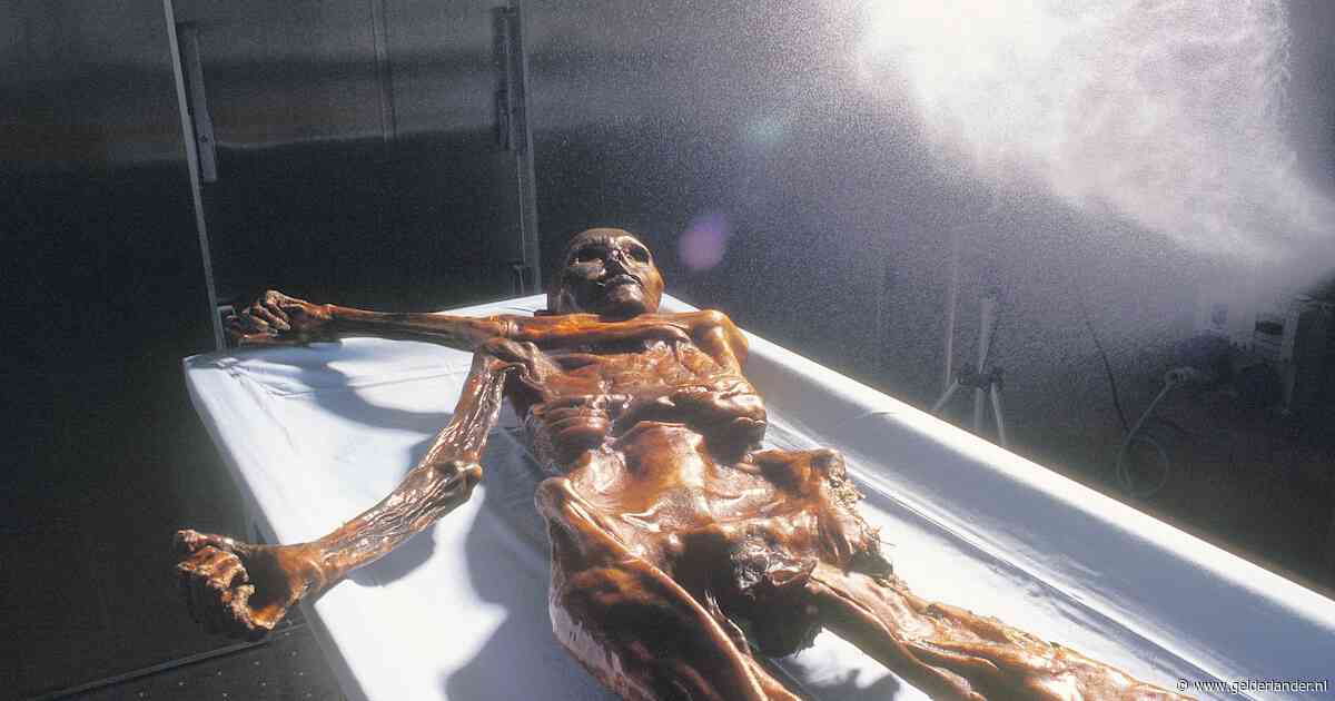 Wetenschappers maken brood met gist uit ingewanden van ijsmummie Ötzi