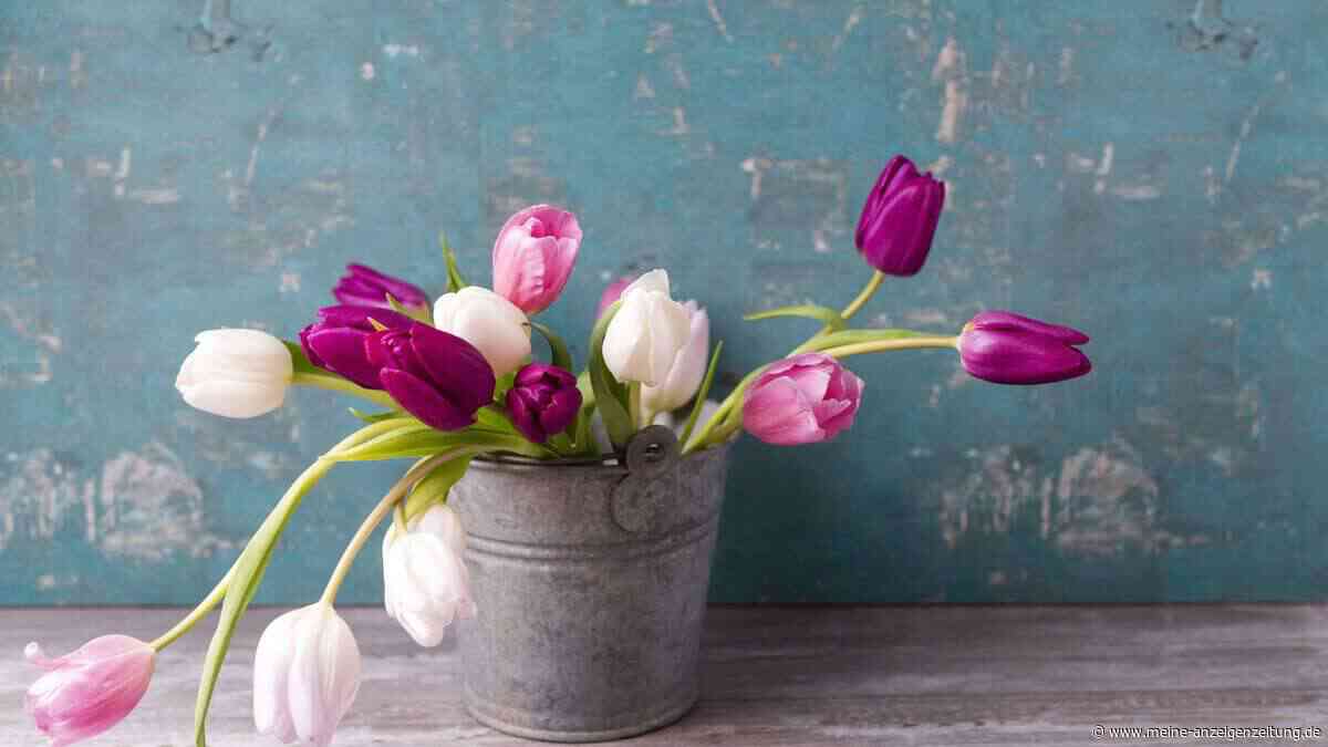 Mit diesen bewährten Tricks bleiben Ihre Schnittblumen bis zu einer Woche lang frisch