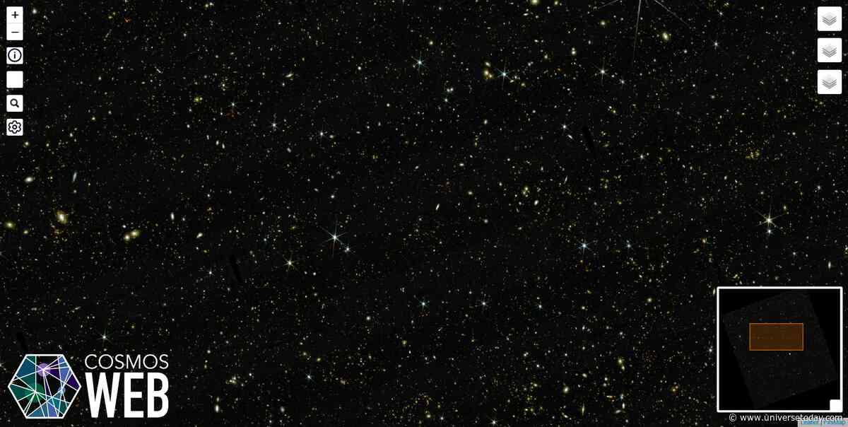 The Cosmic Web Like You've Never Seen it Before