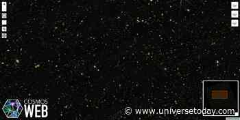 The Cosmic Web Like You've Never Seen it Before