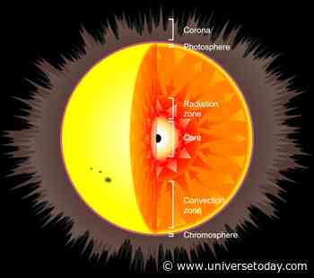 What Happens to a Star That Captures A Primordial Black Hole?