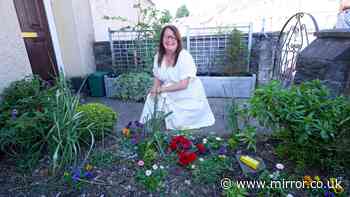 'I was struggling with my mental health until the Postcode Gardener dropped by'