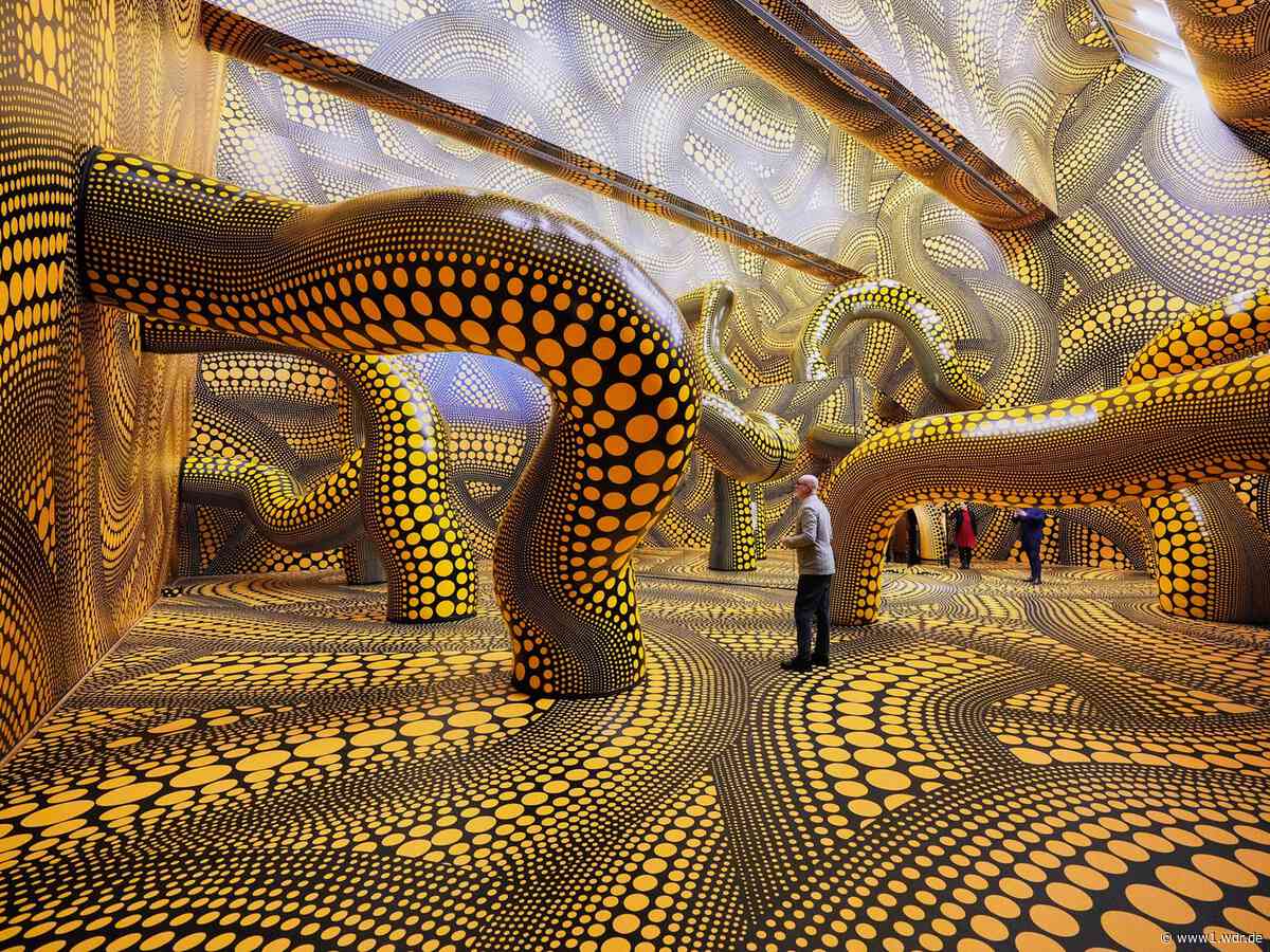 Museum Ludwig in Köln: Kusama-Ausstellung ausverkauft