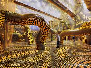 Museum Ludwig in Köln: Kusama-Ausstellung ausverkauft