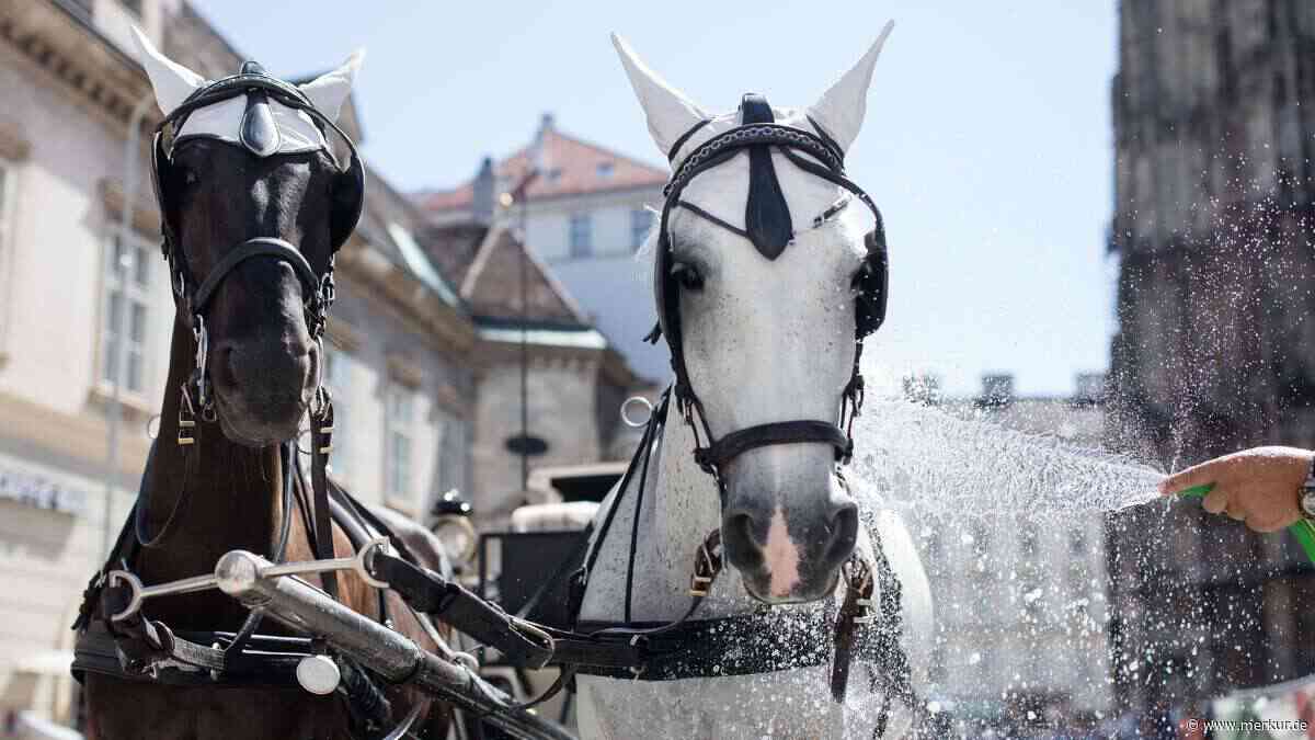 Pferde scheuen, Kutsche kippt um: Deutsche Österreich-Urlauber bei Fiaker-Unfall verletzt
