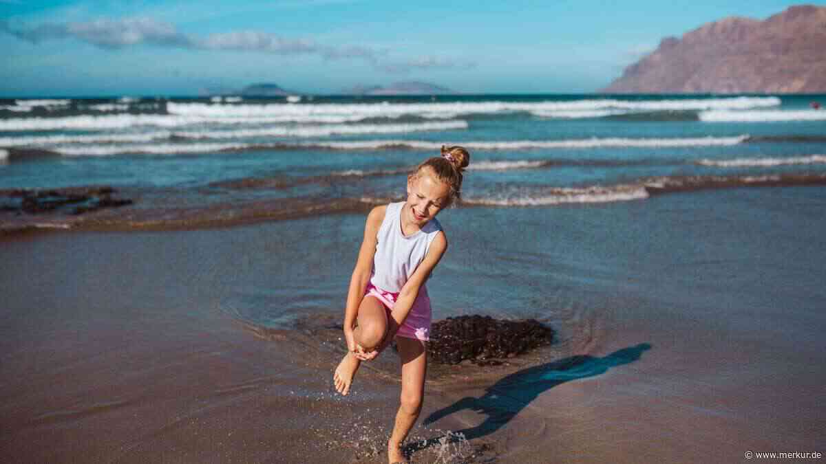 Unterschätzte Gefahr an deutschen Küsten und Mittelmeer – das sollten Sie beim Stich eines Seeigels tun