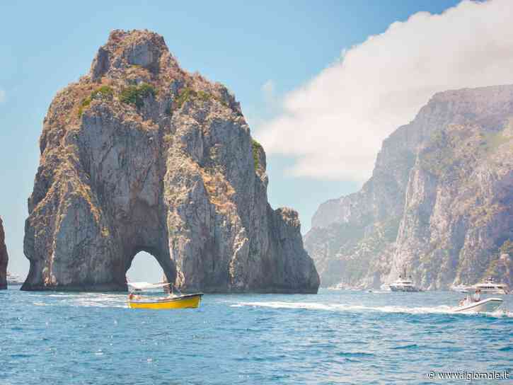 Ecologisti di plastica