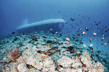 Atlantis restarts Lahaina tours as harbor recovery continues