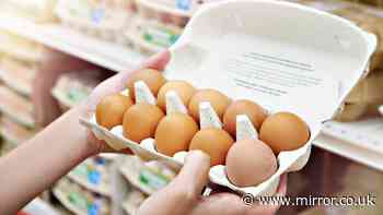 Sainsbury's shoppers point out 1 thing about brown eggs as store stops selling them
