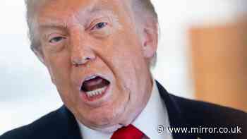 Donald Trump's wild week as he gives chilling preview of how he'll undermine midterm elections