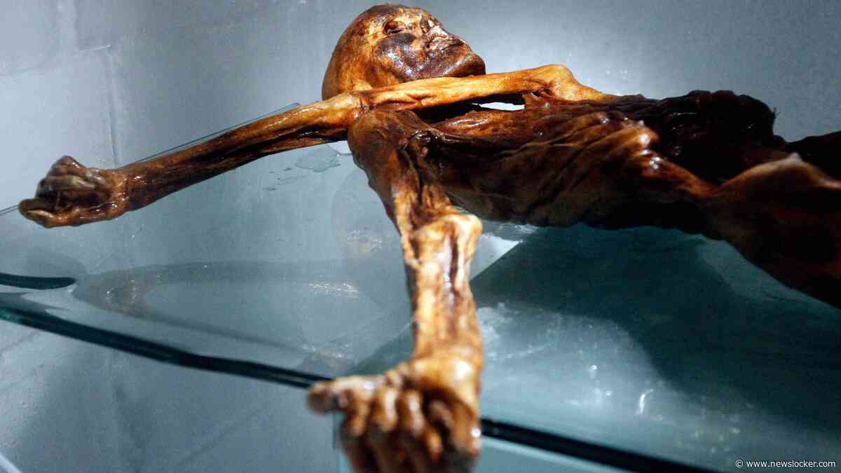 Wetenschappers maken brood met gist uit ingewanden eeuwenoude ijsmummie Ötzi