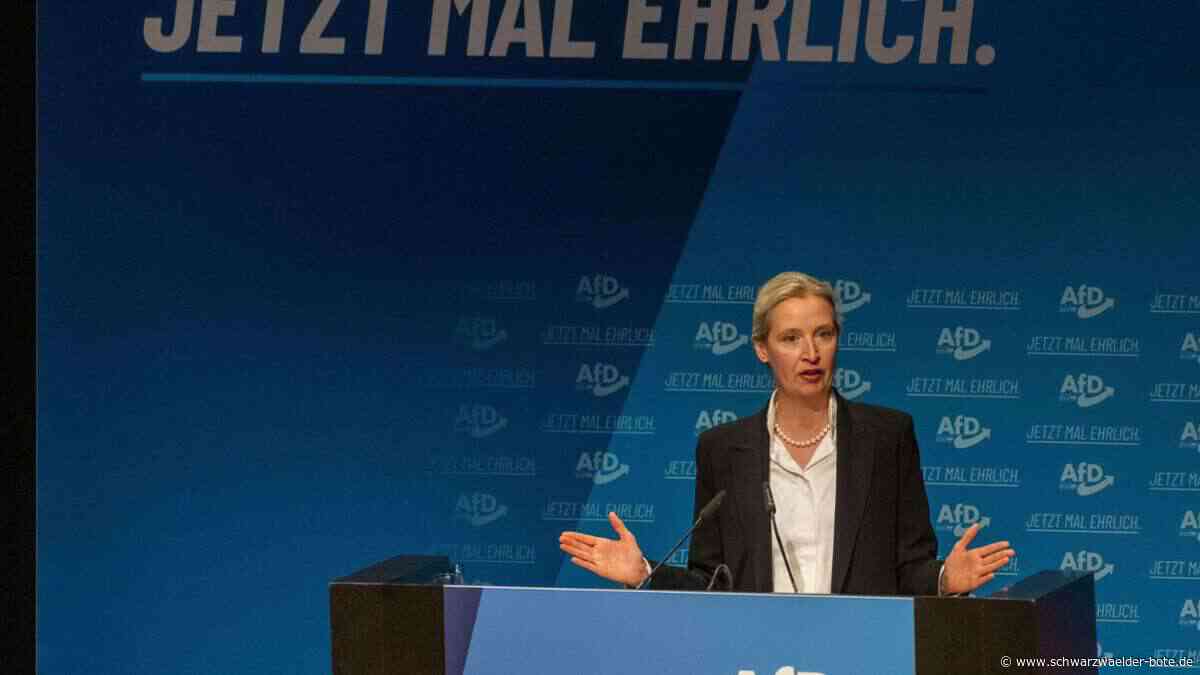 AfD-Parteitag in Heidenheim: Weidel nennt Merz erneut „Lügenkanzler“