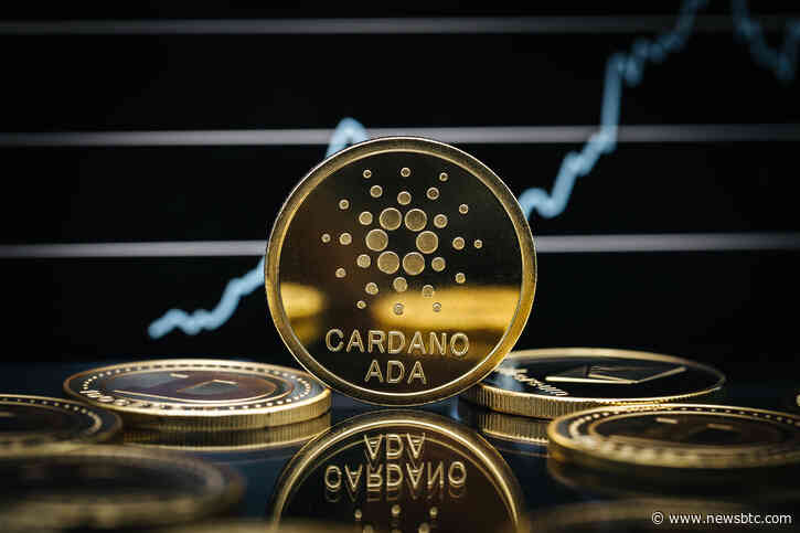 Cardano Price Could Be Heading To $0.10 — Crypto Founder Offers Insight