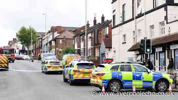 Man dies after New Brighton crash