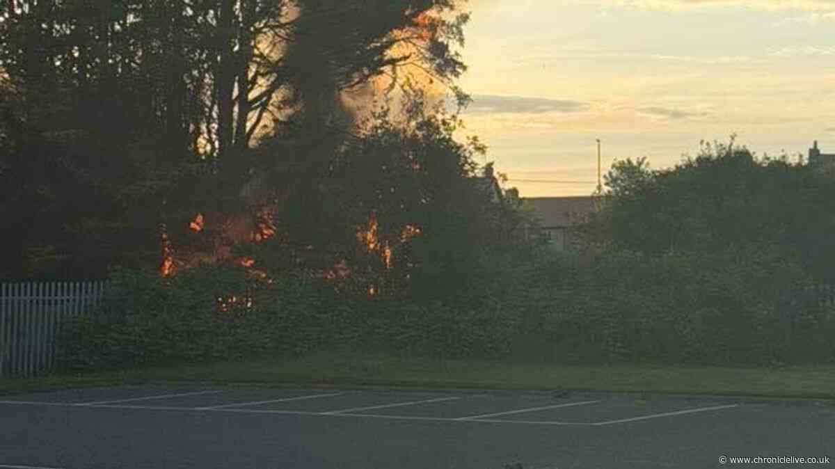 Sunderland grassroots football club blighted by fires which are a 'kick in the teeth'