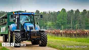 Farm open day to celebrate 100th anniversary