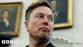 Who is Elon Musk and what is his net worth?