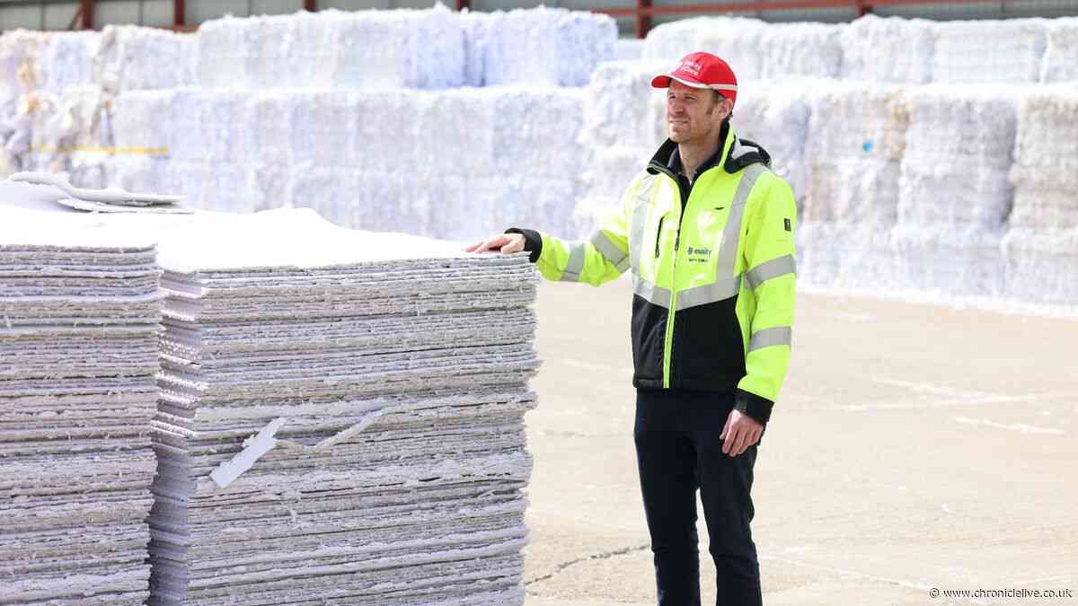 Behind the scenes at new £35m Northumberland factory turning waste paper into toilet rolls