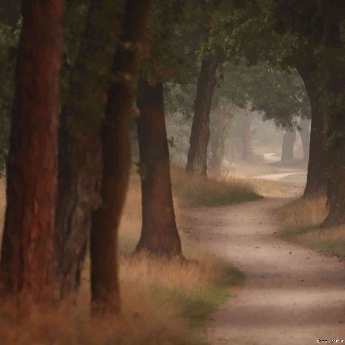 Van Noorwegen tot De Borkeld, 'videoman' Jan maakt de mooiste foto's