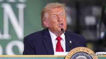 Trump signals US economy booming despite affordability concerns: ‘IT’S RAINING JOBS’