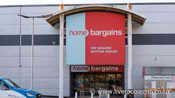 Home Bargains £8 garden planter catches light 'beautifully'