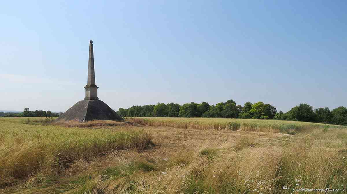 The strange monument in the middle of a field dedicated to man’s friend