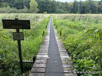 Along 4 The Hike: Audubon Community Nature Center