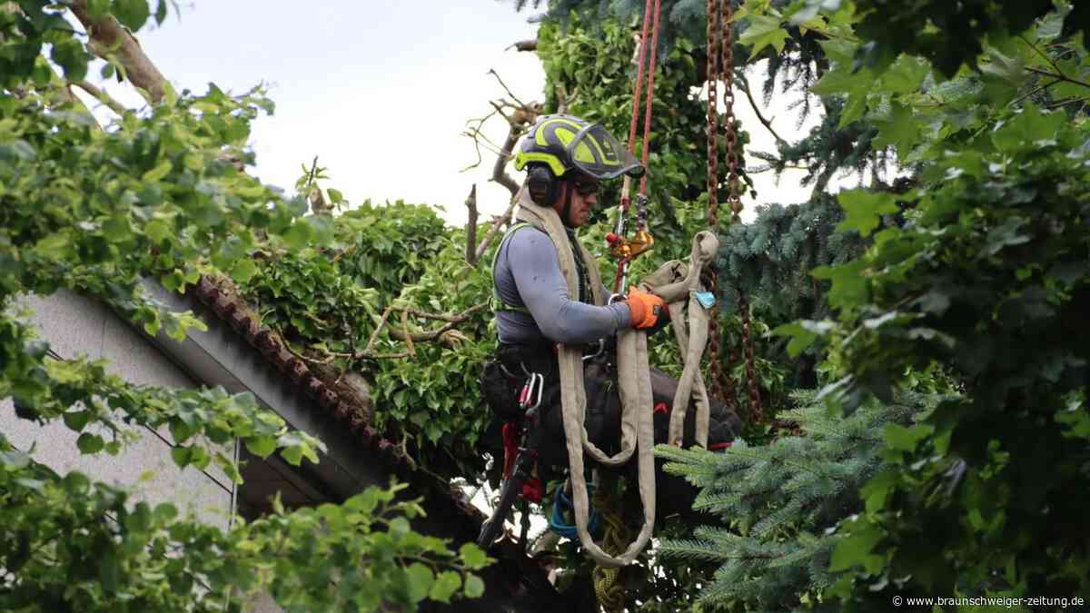Baum stürzt in Wolfsburg auf Hausdach und löst spektakuläre Bergungsaktion aus