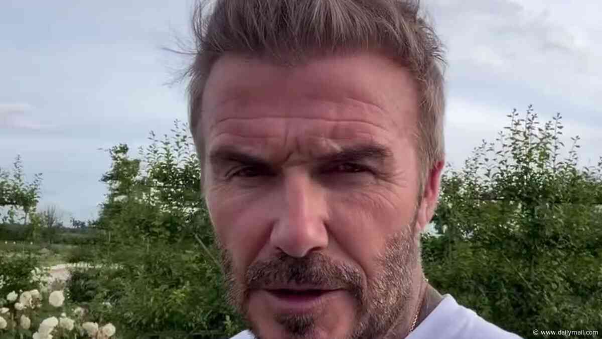 Green-fingered David Beckham shows off his impressive vegetable patch as he tends to his lettuce, sweetcorn and strawberries at £12m Cotswold home
