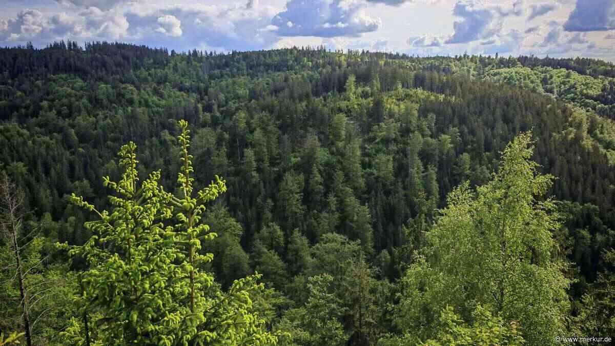 Extrem seltenes Tier in Bayern gefunden: „Eher in wärmeren und trockeneren Regionen“