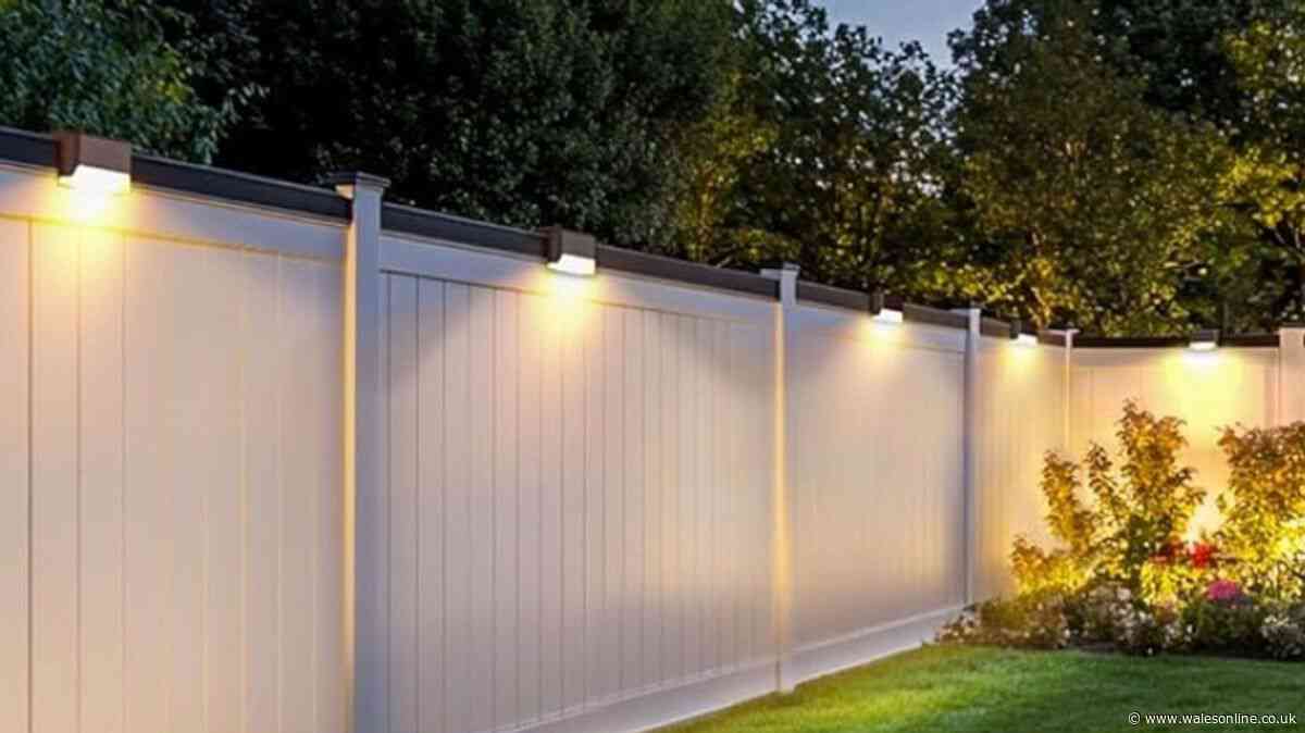 'Incredible value' wire-free lights on sale for £17 give garden 'lovely ambience'