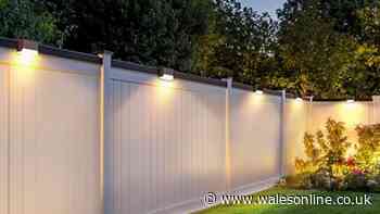 'Incredible value' wire-free lights on sale for £17 give garden 'lovely ambience'