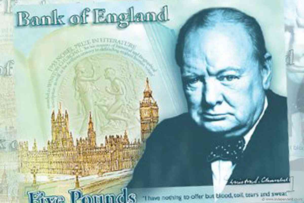 Bank defends idea to replace banknote historical figures with dolphins and owls