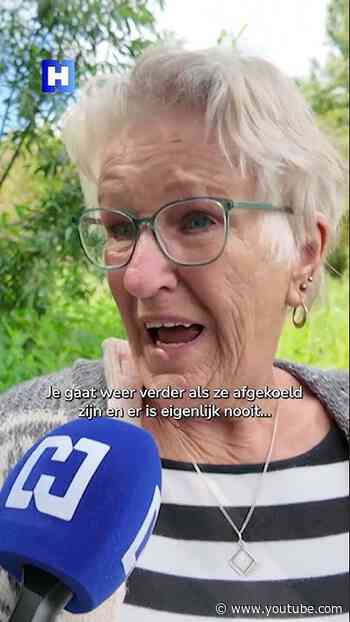 Angst onder hondenbaasjes na dood dalmatiërs: "Iedereen vraagt zich af wat er is gebeurd"