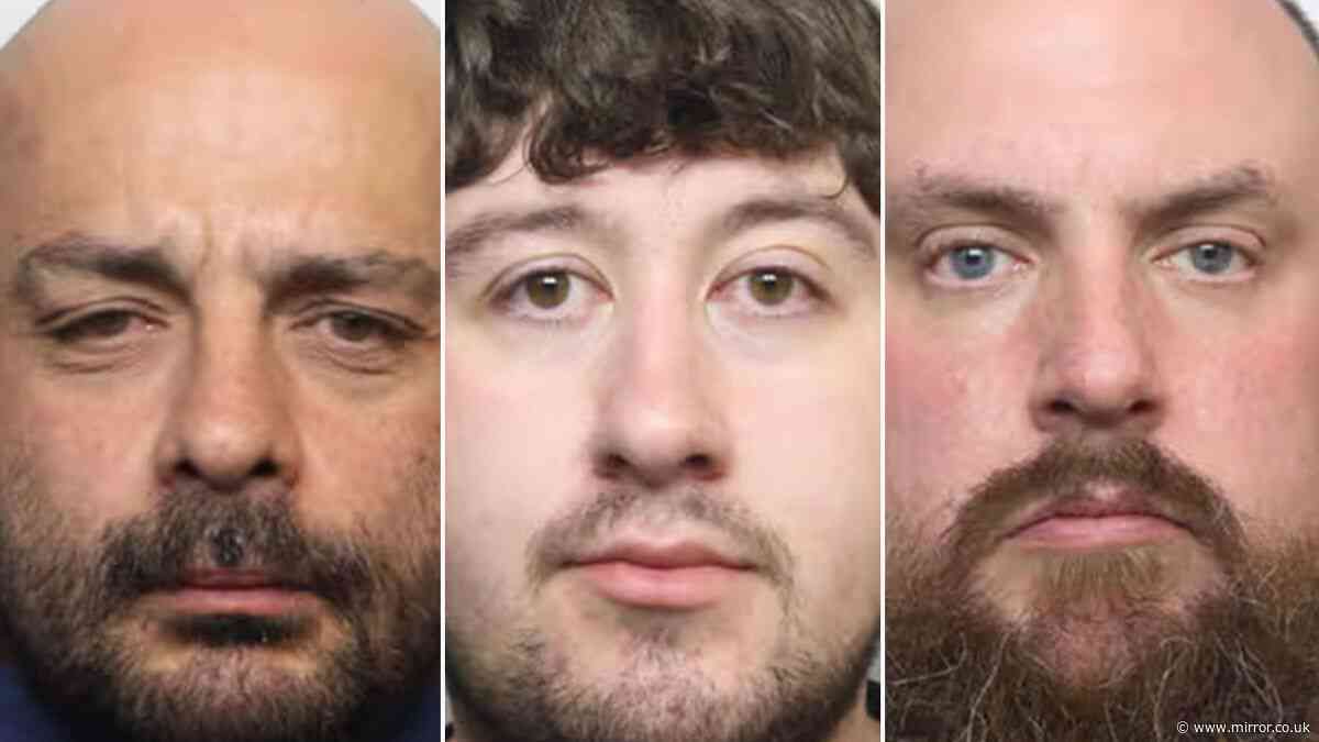 Crime gang busted after 'highly sophisticated' mail order drug ring