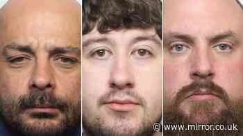 Crime gang busted after 'highly sophisticated' mail order drug ring