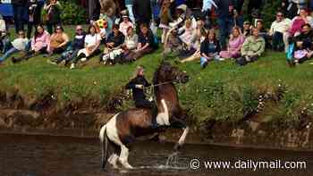 Four people arrested near Appleby Horse Fair after police discover hoard of 'hippy crack' - while travellers take over town for annual gathering