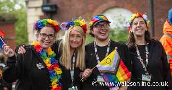 All the best photos as weather fails to dampen Barry Pride