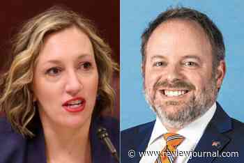Cannizzaro, Conine tout their qualifications in AG nomination race