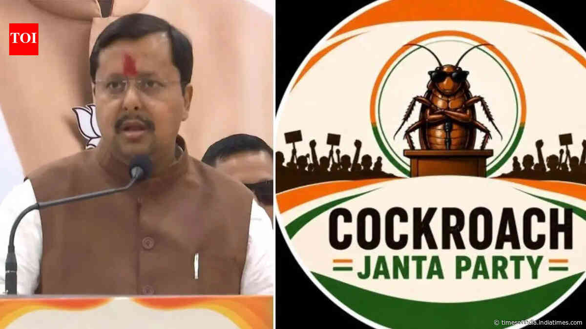 'People sitting abroad ... ': BJP chief's veiled attack at CJP protest over 'dragging youth into negative politics'